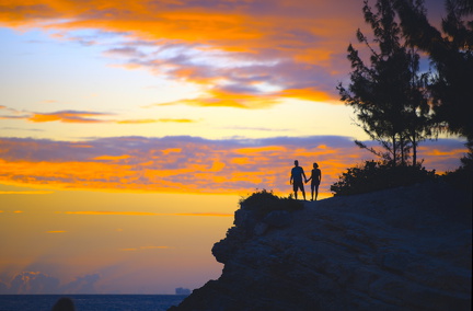 FAL 4218 01.resized-edited