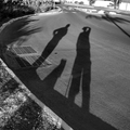 les ombres